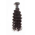 Burmese Curly