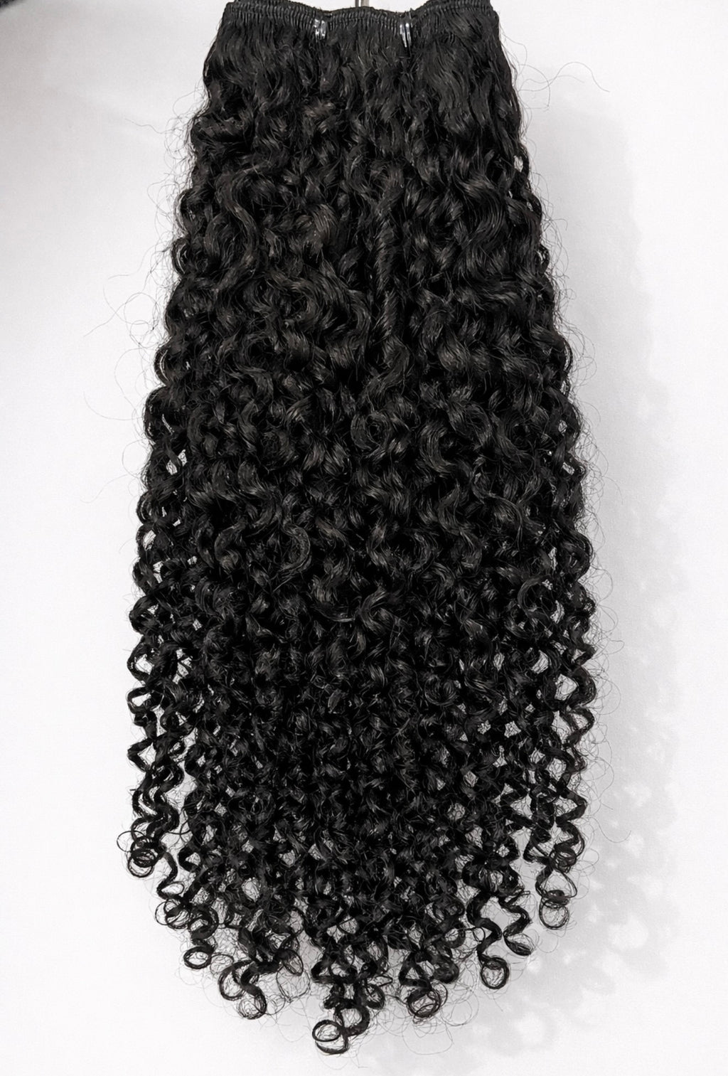 Burmese Curly