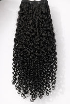 Burmese Curly
